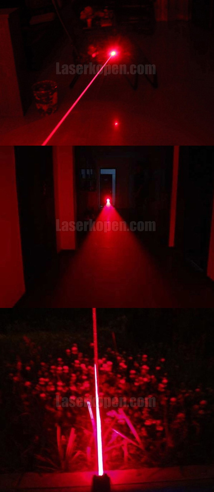 laserpen 1000mW