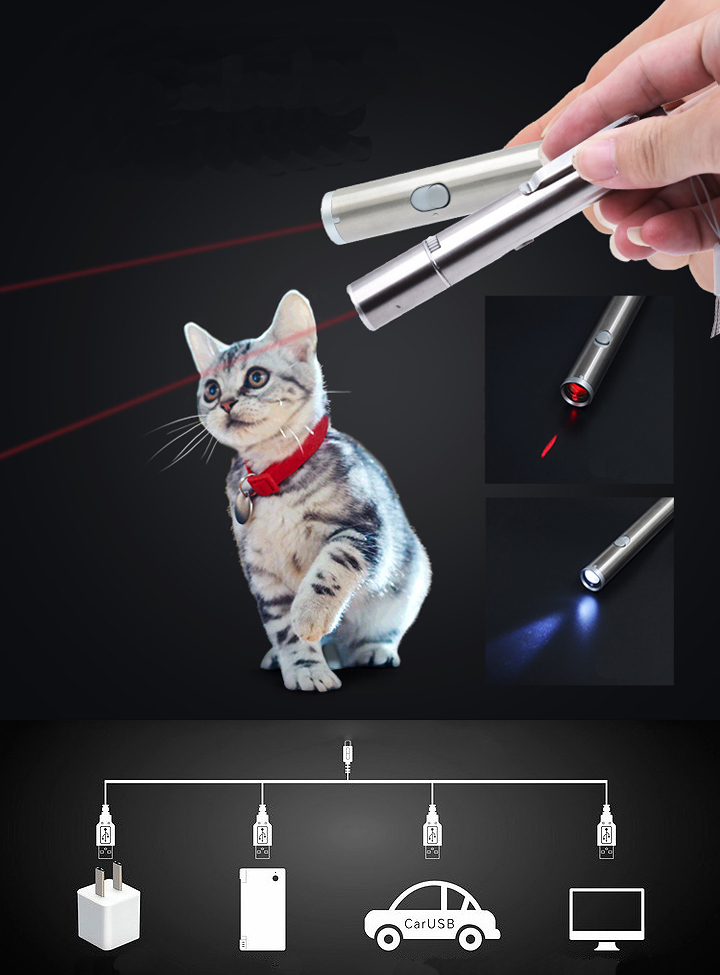 laserlampje kat